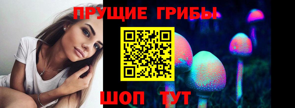 Псилоцибиновые грибы Cubensis  Вход с VPN  Зеленодольск 